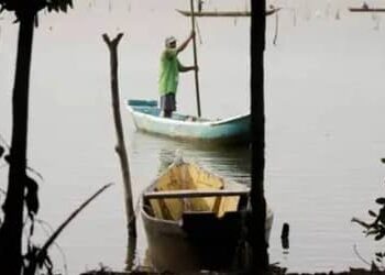 Maranhão e Pará lideram número de licenças de pescadores canceladas pelo MPA