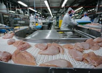 Conflito no Oriente Médio deve encarecer carnes de frango, suína e ovos