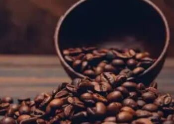 Café hoje: confira as cotações para esta quinta-feira (30)