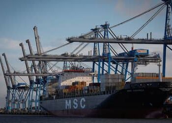 Chegam à China primeiras remessas brasileiras de DDGS