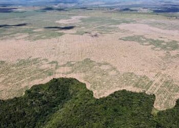 FPA pede adiamento das novas regras ambientais de financiamento no campo
