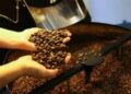 Café hoje: confira cotações para esta quarta-feira (13)