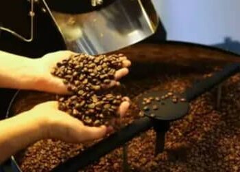 Café hoje: confira cotações para esta quarta-feira (13)