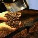Café hoje: confira cotações para esta quarta-feira (13) Café hoje: confira cotações para esta quarta-feira (13)