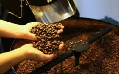 Café hoje: confira cotações para esta quarta-feira (13) Café hoje: confira cotações para esta quarta-feira (13)