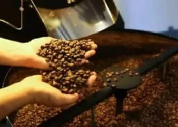 Café hoje: confira cotações para esta quinta-feira (14)