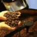 Café hoje: confira cotações para esta quinta-feira (14)