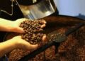 Café hoje: confira cotações para esta terça-feira (12)