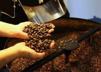 Café hoje: confira cotações para esta terça-feira (12)