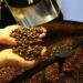 Café hoje: confira cotações para esta terça-feira (12)