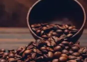Café hoje: confira cotações para esta terça-feira (5)