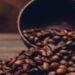 Café hoje: confira cotações para esta terça-feira (5)