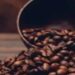 Preço do café arábica volta a cair, com saca vendida a R$ 1.758,67, nesta quarta-feira (6)