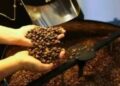Título: Café hoje: confira cotações para esta sexta-feira (15)