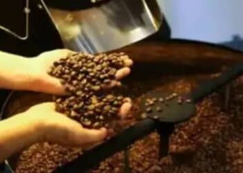Café hoje: confira cotações para esta quinta-feira (11)
