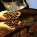 Café hoje: confira cotações para esta quinta-feira (11)