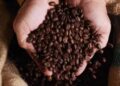Café hoje: confira cotações para esta segunda-feira (22)