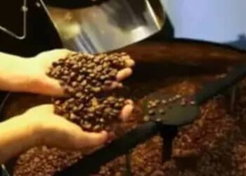 Café hoje: confira cotações para esta sexta-feira (12) Café hoje: confira cotações para esta sexta-feira (12)