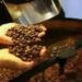 Café hoje: confira cotações para esta sexta-feira (12)
