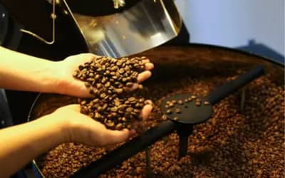 Café hoje: confira cotações para esta sexta (5) Café hoje: confira cotações para esta sexta (5)