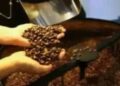 Café hoje: confira cotações para esta terça-feira (16)