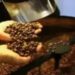 Café hoje: confira cotações para esta terça-feira (16)