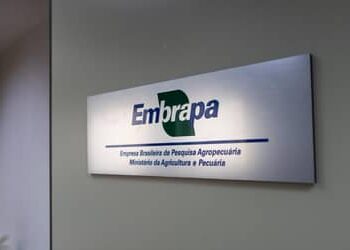 Embrapa inaugura escritório em São Paulo (SP) e firma parceria com Grupo Carrefour Brasil