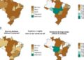 InfoGripe: VSR, influenza e rinovírus elevam casos de síndrome respiratória grave no país