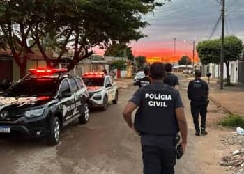 Operação deflagrada pela Polícia Civil de Goiás acumula 247 prisões e R$ 235 milhões apreendidos