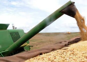 Agronegócio responde por 45,7% das exportações brasileiras e cresce 14% em junho
